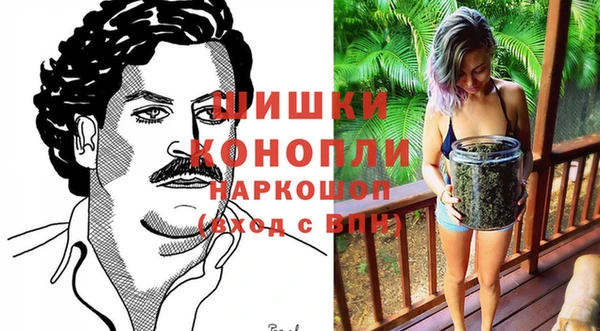 spice Аркадак