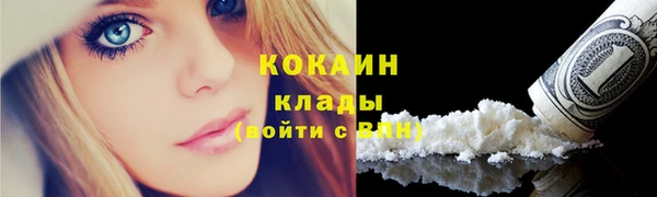 spice Аркадак